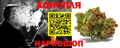 шишки Бузулук
