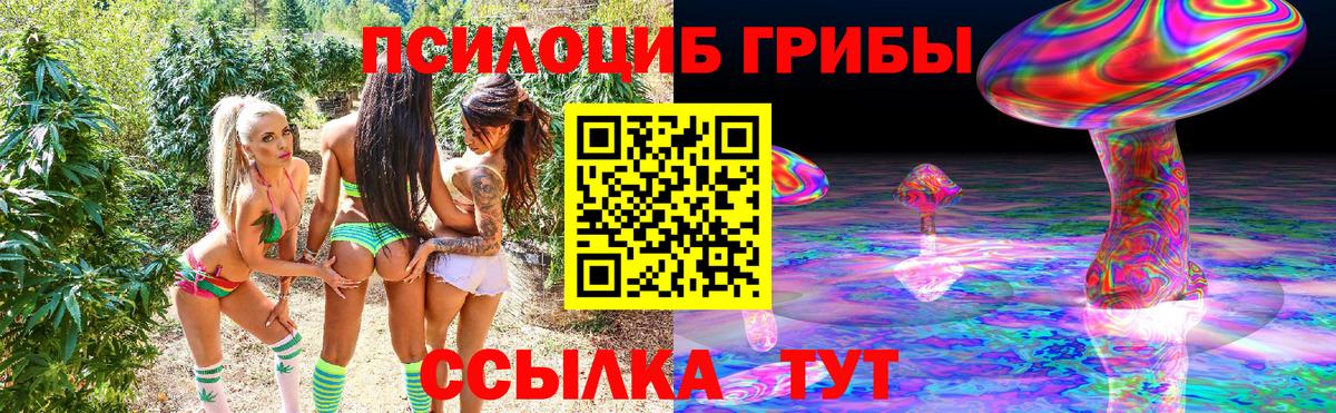 Псилоцибиновые грибы Cubensis Печора