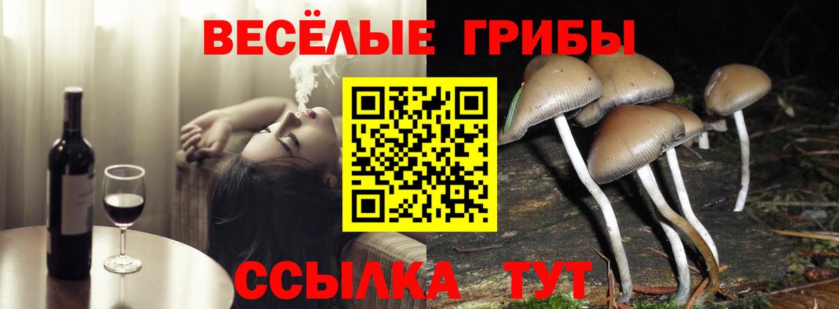 Псилоцибиновые грибы Magic Shrooms  Псилоцибиновые грибы GOLDEN TEACHER  Печора  Вход с VPN 