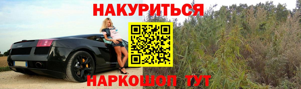 Бошки Шишки ГИДРОПОН  Каннабис SATIVA & INDICA  Печора  Марихуана план  Вход с VPN  Марихуана MAZAR 